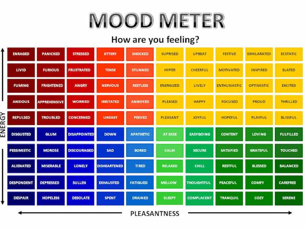 Mood Meter: How are you feeling today?